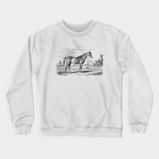 Horse in a landscape Crewneck Sweatshirt